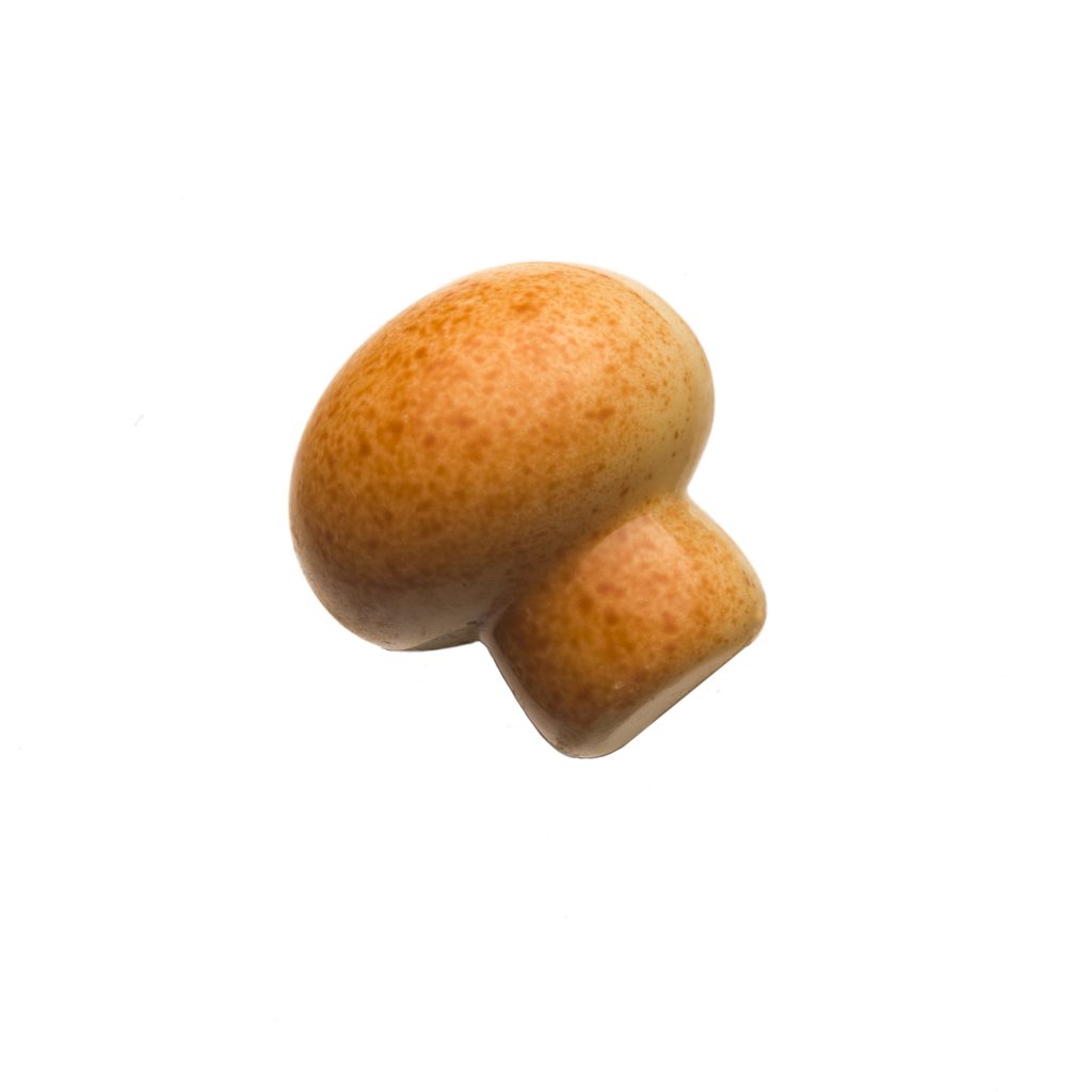 Champignon